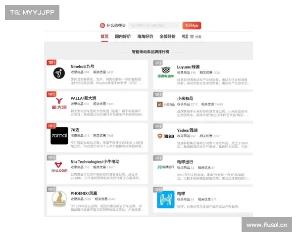 「选购指南」两大电商热销的前五名电动车都在这 「选购指南」两大电商热销的前五名电动车都在这